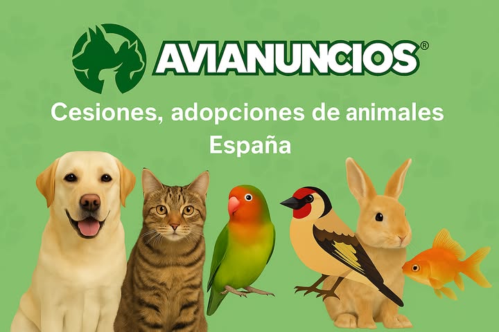 Imagen enlazada a Avianuncios