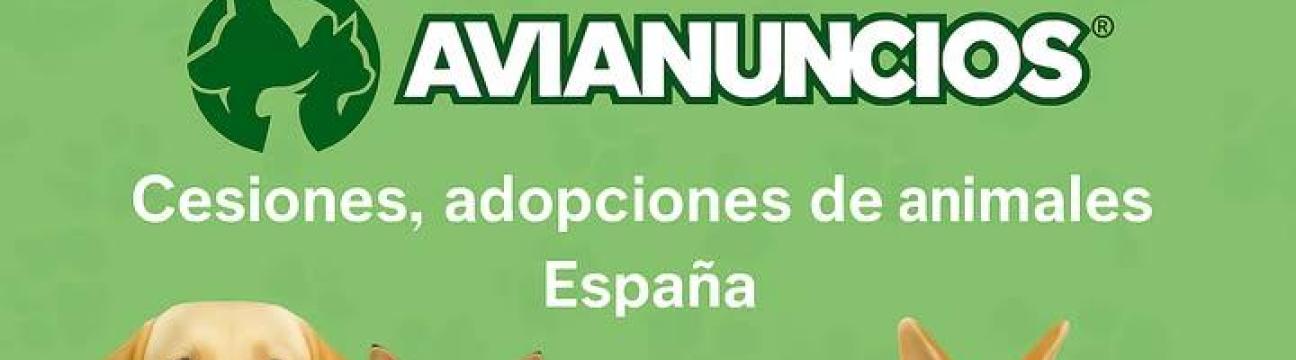 Cesiones animales Avianuncios 🇪🇸