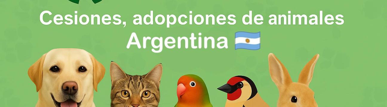Venta, adopciones Avianuncios Argentina 🇦🇷