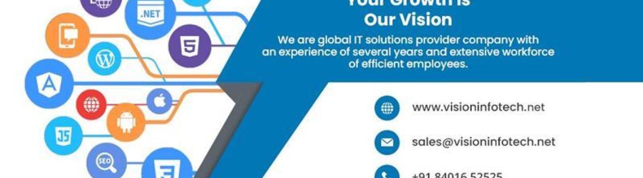 Vision Infotech