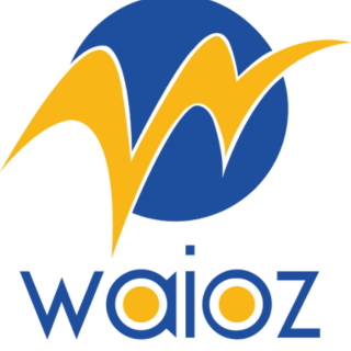 Waioz Consultancy Services