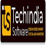 TechIndia Software